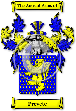 Prevete Family Crest Download (jpg) Legacy Series - 150 DPI