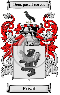 Privat Family Crest Download (JPG) Heritage Series - 600 DPI