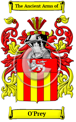O'Prey Family Crest Download (JPG) Heritage Series - 300 DPI