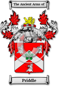 Priddle Family Crest Download (jpg) Legacy Series - 150 DPI