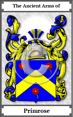 Primrose Family Crest Download (JPG)  Book Plated - 150 DPI