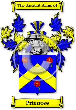 Primrose Family Crest Download (jpg) Legacy Series - 150 DPI