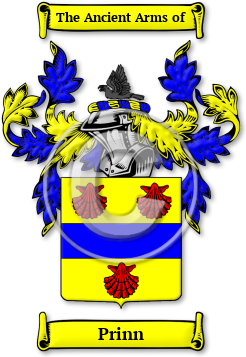 Prinn Family Crest Download (JPG) Legacy Series - 600 DPI