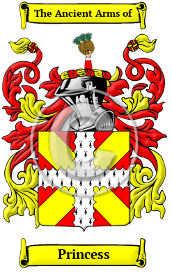 Princess Family Crest/Coat of Arms