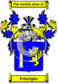 Principio Family Crest Download (jpg) Legacy Series - 150 DPI