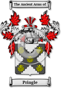 Pringle Family Crest Download (jpg) Legacy Series - 150 DPI