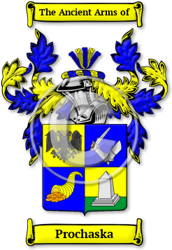 Prochaska Family Crest Download (JPG) Legacy Series - 300 DPI
