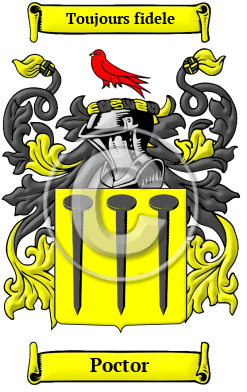 Poctor Family Crest/Coat of Arms