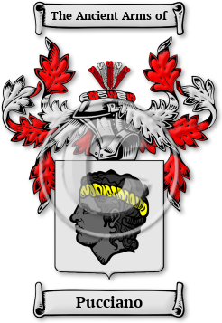 Pucciano Family Crest Download (jpg) Legacy Series - 150 DPI