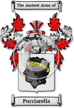 Pucciarella Family Crest Download (jpg) Legacy Series - 150 DPI