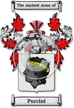 Puccini Family Crest Download (JPG) Legacy Series - 600 DPI