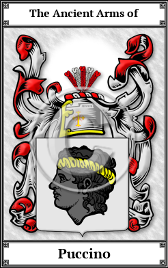 Puccino Family Crest Download (JPG)  Book Plated - 150 DPI