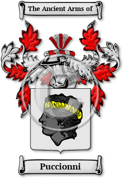 Puccionni Family Crest Download (jpg) Legacy Series - 150 DPI