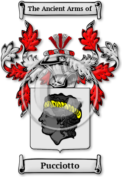 Pucciotto Family Crest Download (JPG) Legacy Series - 600 DPI