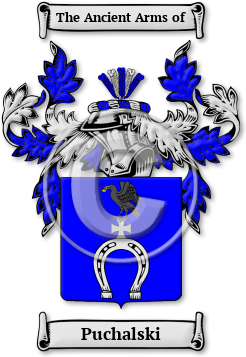 Puchalski Family Crest Download (jpg) Legacy Series - 150 DPI