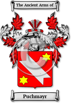 Puchmayr Family Crest Download (jpg) Legacy Series - 150 DPI