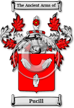 Pucill Family Crest Download (jpg) Legacy Series - 150 DPI