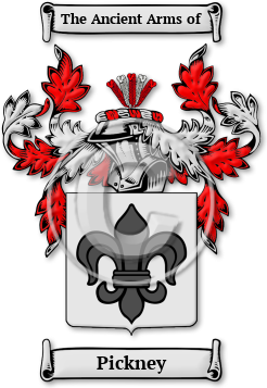 Pickney Family Crest Download (JPG) Legacy Series - 600 DPI