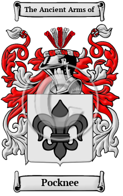 Pocknee Family Crest/Coat of Arms