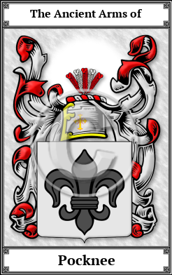 Pocknee Family Crest Download (JPG) Book Plated - 600 DPI