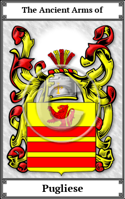 Pugliese Family Crest Download (JPG) Book Plated - 600 DPI