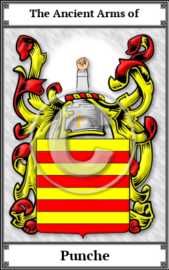 Punche Family Crest Download (JPG)  Book Plated - 150 DPI