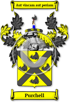 Purchell Family Crest Download (JPG) Legacy Series - 600 DPI
