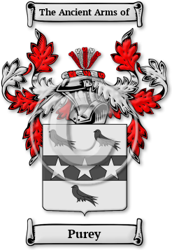 Purey Family Crest Download (jpg) Legacy Series - 150 DPI