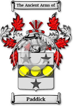Paddick Family Crest Download (jpg) Legacy Series - 150 DPI