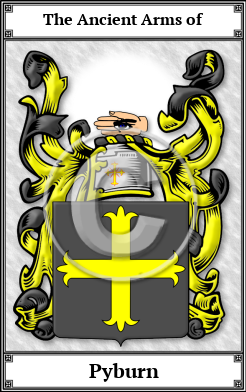 Pyburn Family Crest Download (JPG) Book Plated - 600 DPI