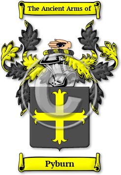Pyburn Family Crest Download (JPG) Legacy Series - 600 DPI