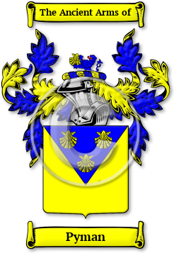 Pyman Family Crest Download (JPG) Legacy Series - 600 DPI
