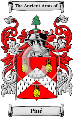 Piné Family Crest/Coat of Arms
