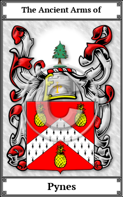 Pynes Family Crest Download (JPG)  Book Plated - 150 DPI