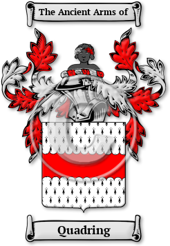 Quadring Family Crest Download (jpg) Legacy Series - 150 DPI