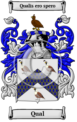 Qual Family Crest Download (JPG) Heritage Series - 600 DPI