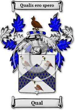 Qual Family Crest Download (JPG) Legacy Series - 600 DPI