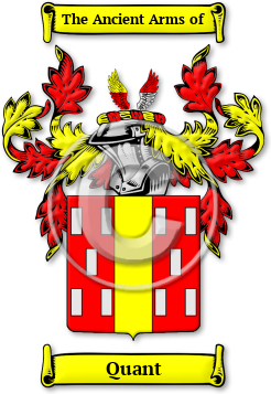 Quant Family Crest Download (jpg) Legacy Series - 150 DPI