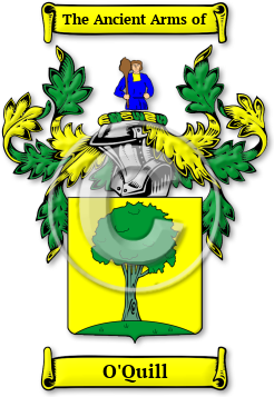 O'Quill Family Crest Download (jpg) Legacy Series - 150 DPI