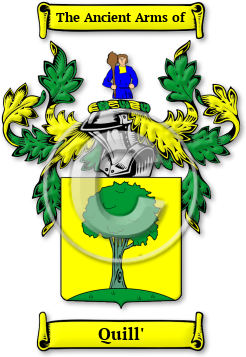 Quill' Family Crest Download (JPG) Legacy Series - 600 DPI