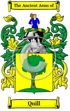 Quill Family Crest Download (JPG) Heritage Series - 600 DPI