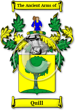 Quill Family Crest Download (jpg) Legacy Series - 150 DPI