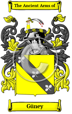 Güney Family Crest Download (JPG) Heritage Series - 300 DPI