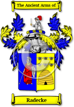 Radecke Family Crest Download (jpg) Legacy Series - 150 DPI