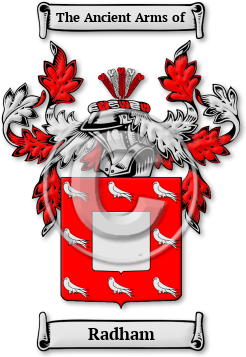 Radham Family Crest Download (JPG) Legacy Series - 600 DPI