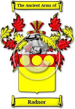Radnor Family Crest Download (jpg) Legacy Series - 150 DPI