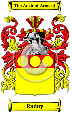 Radny Family Crest Download (JPG) Heritage Series - 600 DPI