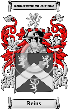 Reins Family Crest Download (JPG) Heritage Series - 600 DPI
