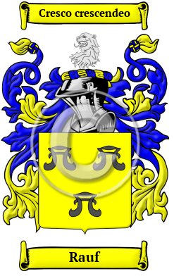 Rauf Family Crest/Coat of Arms