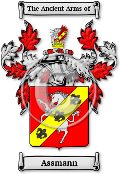 Assmann Family Crest Download (jpg) Legacy Series - 150 DPI